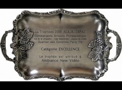TROPHEES EXCEL2009.jpg